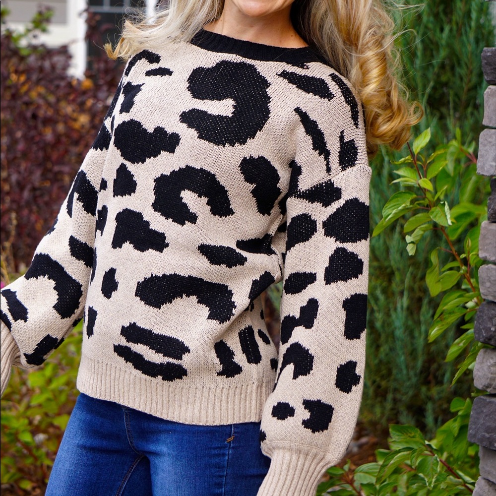 Animal Print Sweater!
